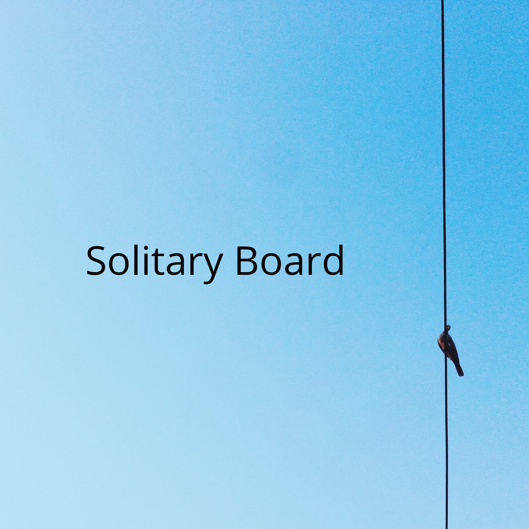 Solitary Board